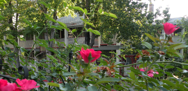 flowers in eureka springs arkansas